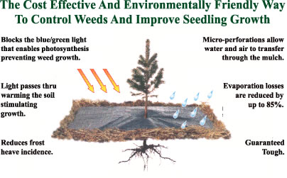 growthmap.jpg